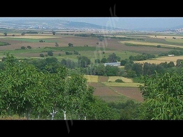 BANDIRMA YENİZİRAATLİ KÖYÜNDEHAZIR MEYVE BAHÇESİ - Görsel 6