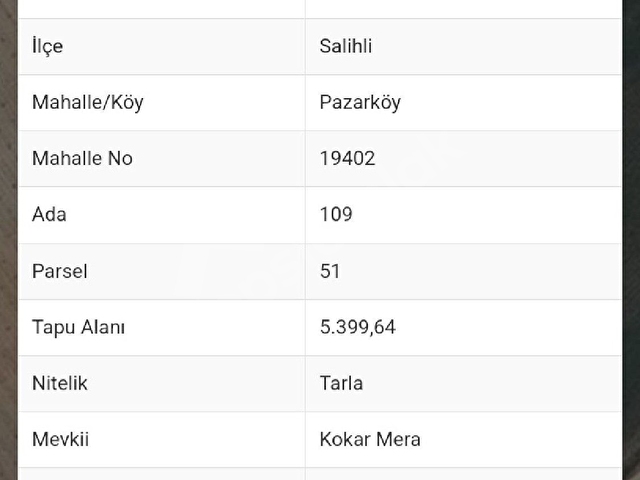 uygun fiyatlı zeytinlik  5399 mt kare - Görsel 11