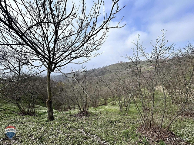 REMAX MAVİ GİZEM YAVUZ AKYAZI MADENLERDE TAMAMI İMARLI ARSA - Görsel 11