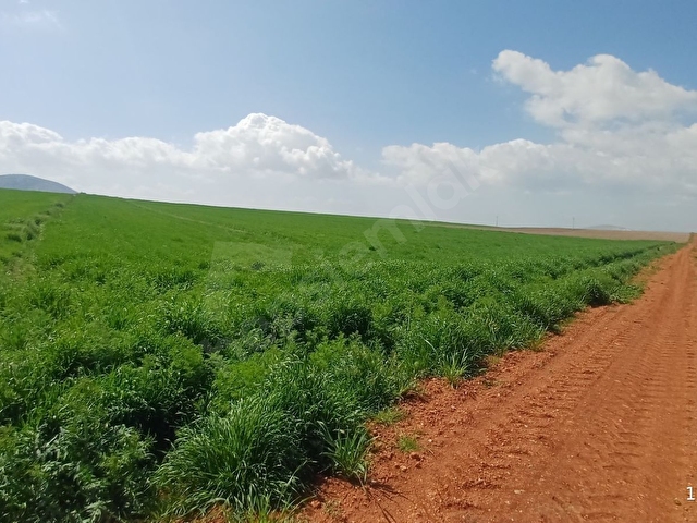 AFYON - UŞAK ÇEVRE YOLLARININ KESİŞTİĞİ KAVŞAĞA SADECE 60 METRE - Görsel 17