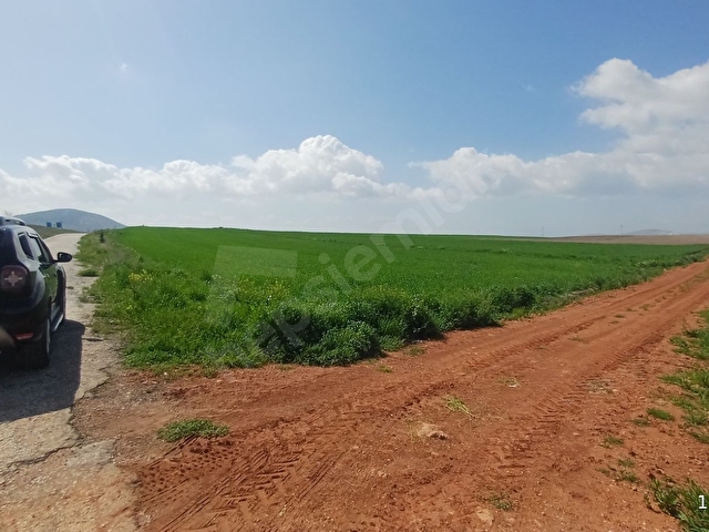 AFYON - UŞAK ÇEVRE YOLLARININ KESİŞTİĞİ KAVŞAĞA SADECE 60 METRE - Görsel 8