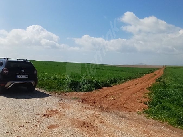 AFYON - UŞAK ÇEVRE YOLLARININ KESİŞTİĞİ KAVŞAĞA SADECE 60 METRE - Görsel 6