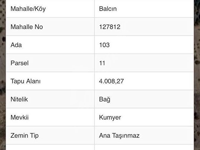 BALCINDA SATILIK BAĞ EVİ - Görsel 2