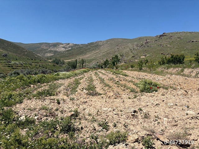 Niğde Çamardı Yaylalık arsalı ev 55m2 1719m2 arsa - Görsel 3