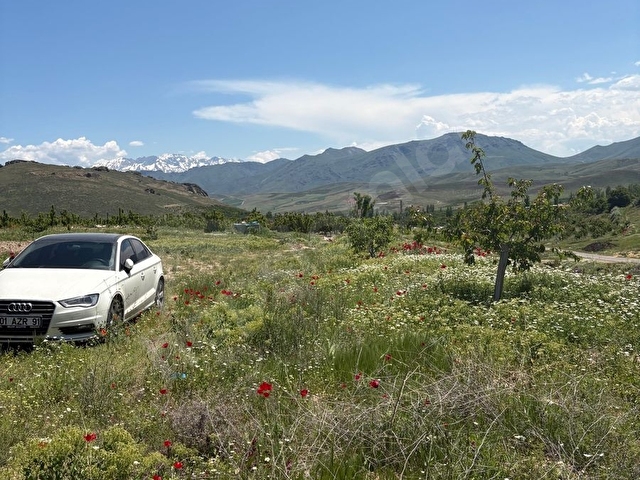 Niğde Çamardı Yaylalık arsalı ev 55m2 1719m2 arsa - Görsel 4