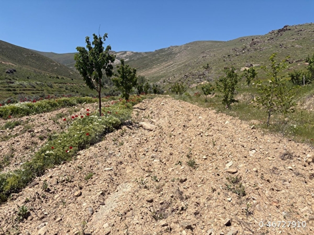 Niğde Çamardı Yaylalık arsalı ev 55m2 1719m2 arsa - Görsel 9