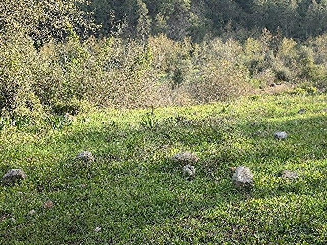 Satılık küçük köy yaşam alanı