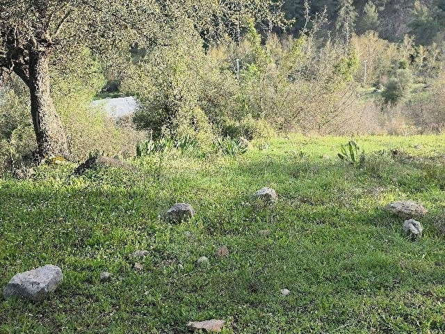 Satılık küçük köy yaşam alanı - Görsel 2