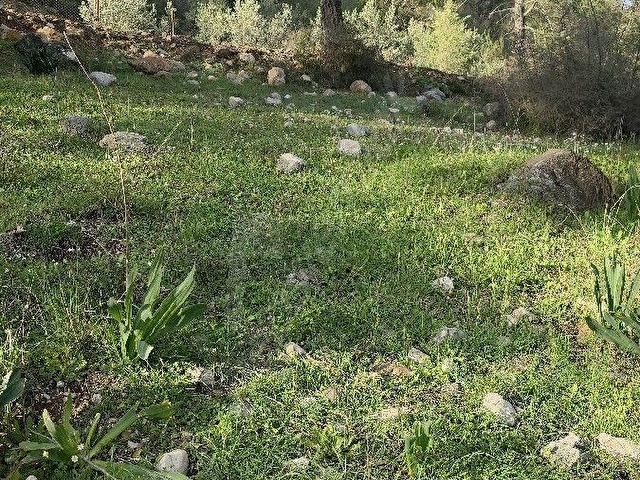 Satılık küçük köy yaşam alanı - Görsel 5