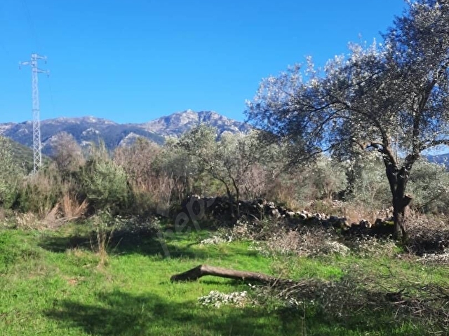 Fethiye İncirköy Beyköy Mevkiinde 10.363 m² Tek Tapu Satılık Tarla - Görsel 12
