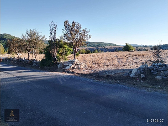 mersin Tarsus  sanlıca fenk  yaylası saltık tarla - Görsel 6