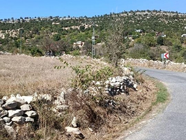 mersin Tarsus  sanlıca fenk  yaylası saltık tarla - Görsel 9