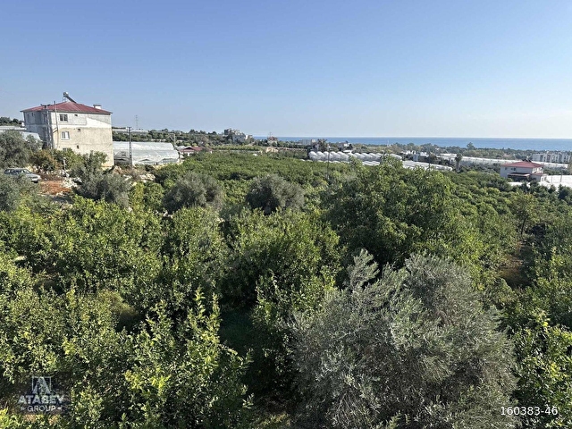 ATABEYden Kocahasanlıda 2310m² Köşe Parsel Arsa (2050+260)