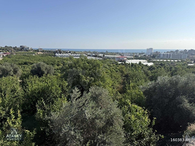 ATABEYden Kocahasanlıda 2310m² Köşe Parsel Arsa (2050+260) - Görsel 6