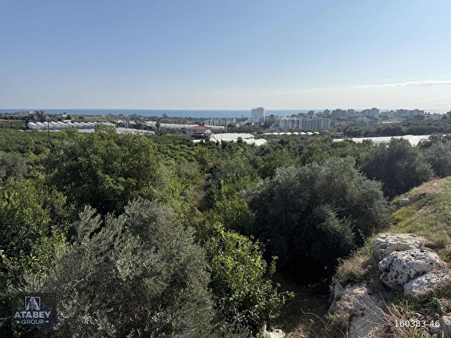 ATABEYden Kocahasanlıda 2310m² Köşe Parsel Arsa (2050+260) - Görsel 8