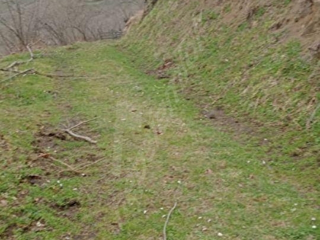 ASİL  DEN SATILIK KAZIMKARA BEKİRPAŞA DA FINDIK BAHÇESİ - Görsel 5