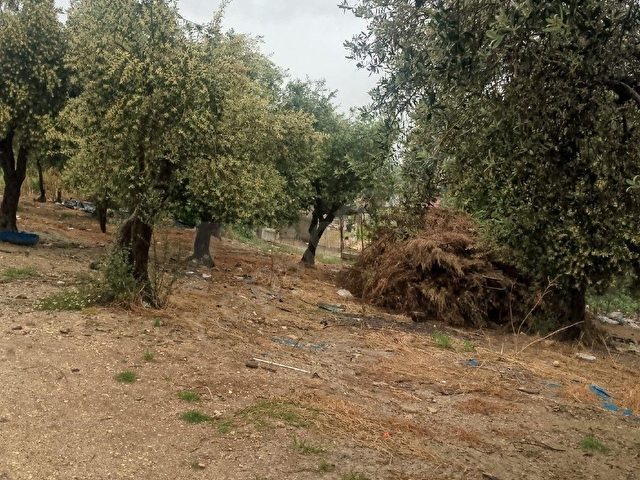 ALTINÖZÜ MAHALLESİNDE SATILIK 2500M2  ARAZİ