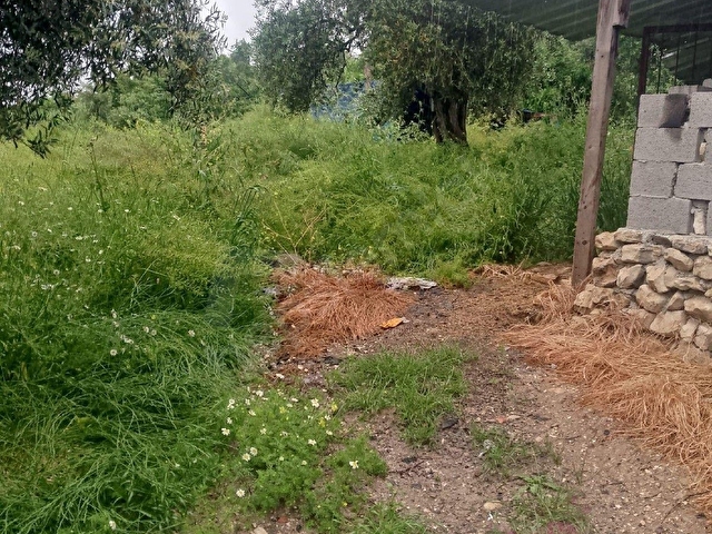 ALTINÖZÜ MAHALLESİNDE SATILIK 2500M2  ARAZİ - Görsel 2