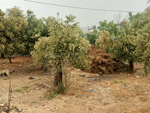 ALTINÖZÜ MAHALLESİNDE SATILIK 2500M2  ARAZİ - Görsel 11