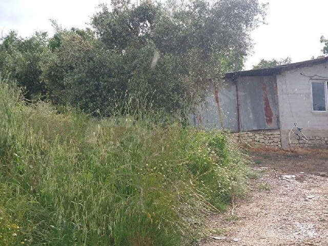 ALTINÖZÜ MAHALLESİNDE SATILIK 2500M2  ARAZİ - Görsel 23