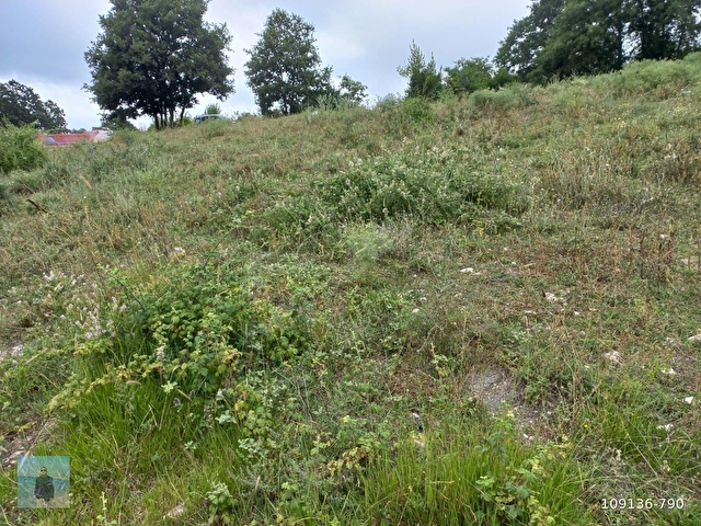 KOCAELİ KANDIRA ÇERÇİLİDE  5958 M2 SATILIK ARSA FİYAT DÜŞTÜ - Görsel 10