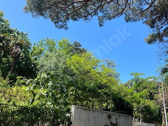 Burgazadada Satılık Deniz Manzaralı, Balkonlu Daire - Görsel 12