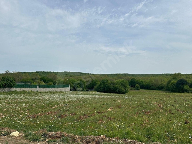Çatalca Gümüşpınar Muvafakatnameli Satılık Hisseli Tarla 3000m² - Görsel 8