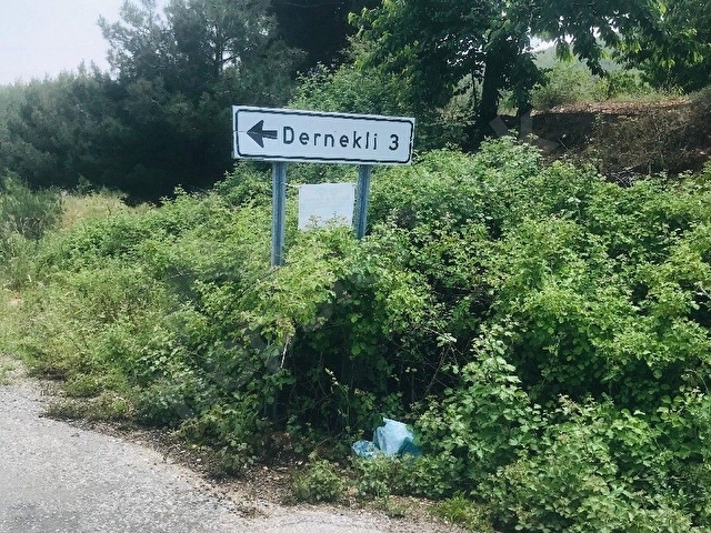 BAYINDIR DERNEKLİ KÖYÜNDE İÇİNDE RESMİ İMARLI EVİ OLAN MUHTEŞEM MANZARALI GAYRİMENKUL - Görsel 2