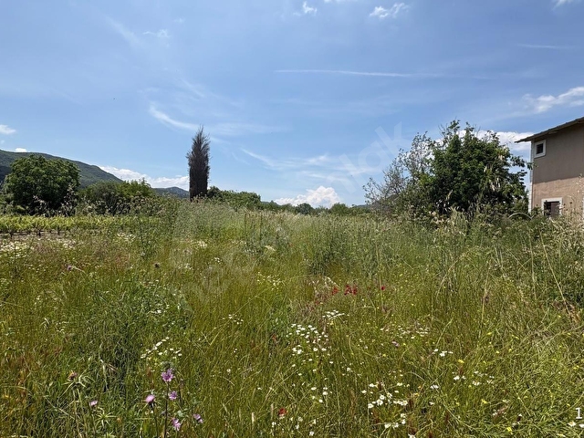 KİRAZLI KÖYÜNDE SATILIK 875 m2 HİSSELİ TARLA