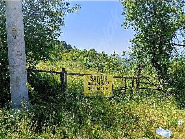SATILIK  TARLA FINDIKLIK ŞOK FİYAT - Görsel 2