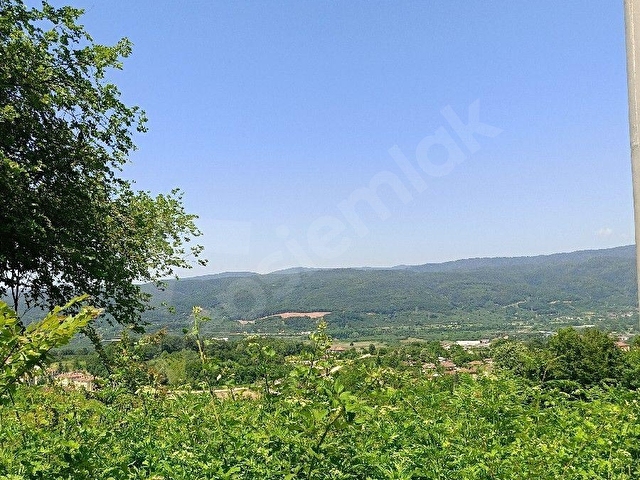 SATILIK  TARLA FINDIKLIK ŞOK FİYAT - Görsel 17