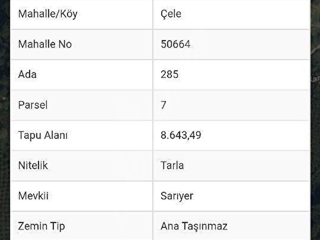 SATILIK  TARLA FINDIKLIK ŞOK FİYAT - Görsel 28