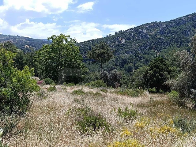 MUĞLA SEYDİKEMER ARSAKÖYDE DOĞAYLA İÇ İÇE 888 m² SATILIK TARLA - Görsel 6