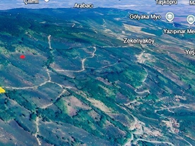 GÖLYAKA BEKİROĞLU KÖYÜ 1778 m² YOL KENARI FINDIKLIK
