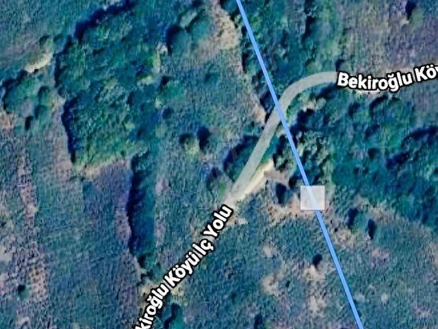 GÖLYAKA BEKİROĞLU KÖYÜ 1778 m² YOL KENARI FINDIKLIK - Görsel 8