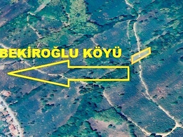 GÖLYAKA BEKİROĞLU KÖYÜ 1778 m² YOL KENARI FINDIKLIK - Görsel 16