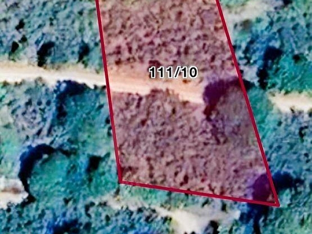 GÖLYAKA BEKİROĞLU KÖYÜ 1778 m² YOL KENARI FINDIKLIK - Görsel 14