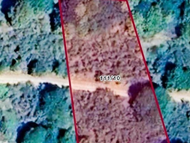 GÖLYAKA BEKİROĞLU KÖYÜ 1778 m² YOL KENARI FINDIKLIK - Görsel 19
