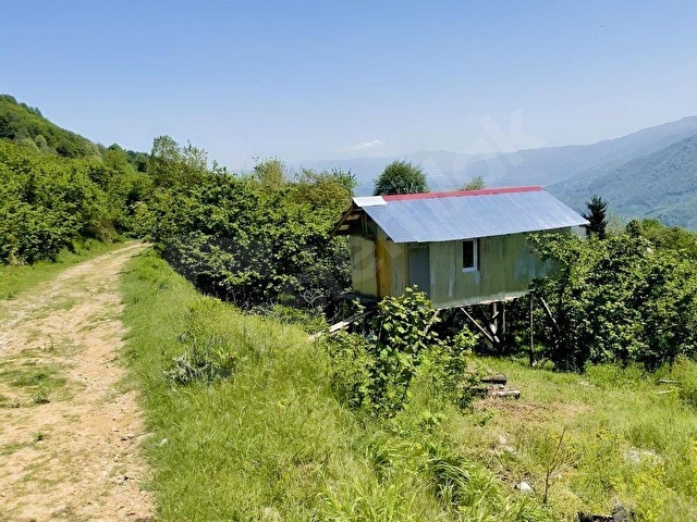 GÖLYAKA BEKİROĞLU KÖYÜ 1778 m² YOL KENARI FINDIKLIK - Görsel 10