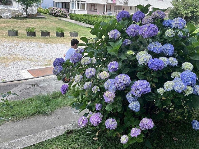 Çınarcık/Karpuzdere/Siteİçi/70M2/1+1 Satılık/Daire - Görsel 2