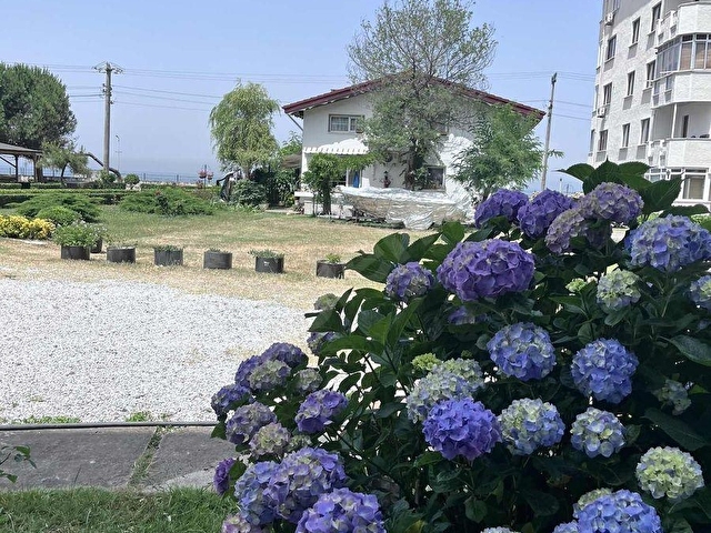 Çınarcık/Karpuzdere/Siteİçi/70M2/1+1 Satılık/Daire - Görsel 3