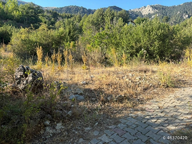 Muğla Fethiye Yayla Koru Köyünde parça parça satılık tarlalar