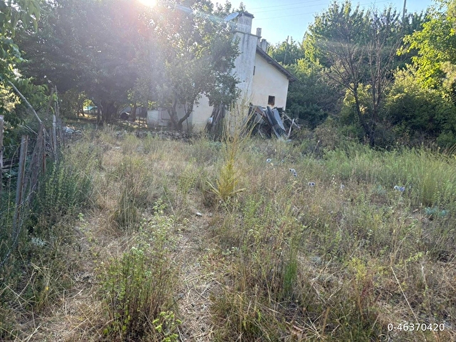 Muğla Fethiye Yayla Koru Köyünde parça parça satılık tarlalar - Görsel 9