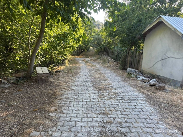 Muğla Fethiye Yayla Koru Köyünde parça parça satılık tarlalar - Görsel 3