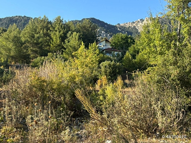 Muğla Fethiye Yayla Koru Köyünde parça parça satılık tarlalar - Görsel 13