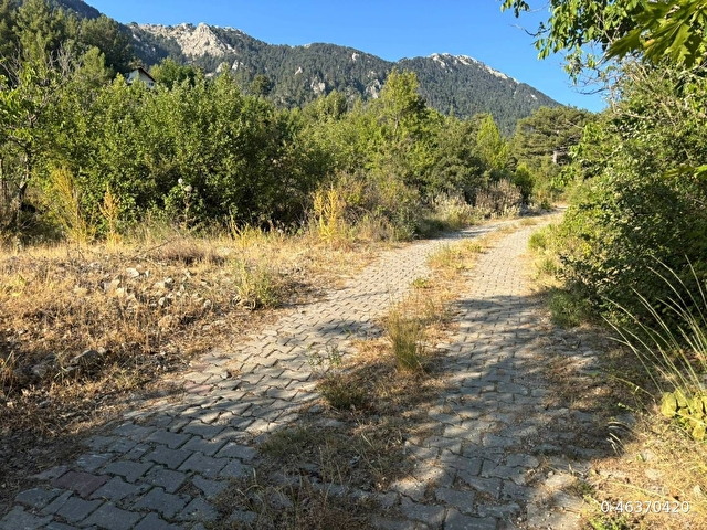 Muğla Fethiye Yayla Koru Köyünde parça parça satılık tarlalar - Görsel 2