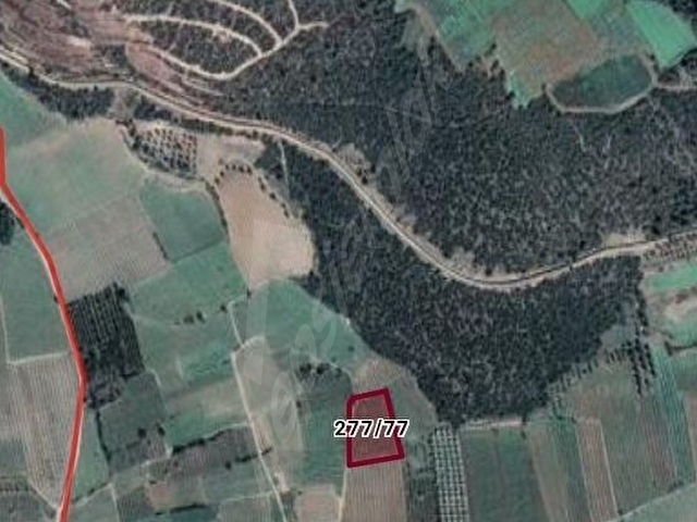 KERİM EMLAKTAN BİLECİK OSMANELİ HİSARCIK KÖYÜ ŞEFTALİ BAHÇESİ - Görsel 6