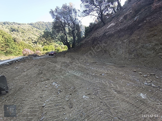 Güzelbahçe Küçükkaya Köyünde Doğa İçerinde Satılık Zeytinlik - Görsel 6