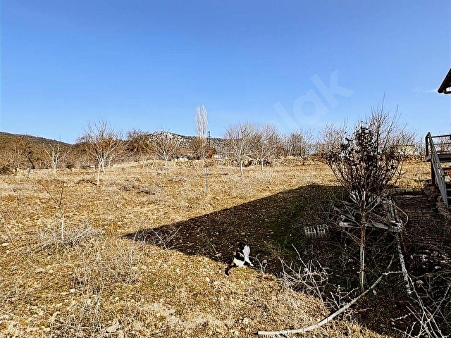 SENFONİden GÜZELPINAR Emsalsiz BAHÇE - Görsel 6
