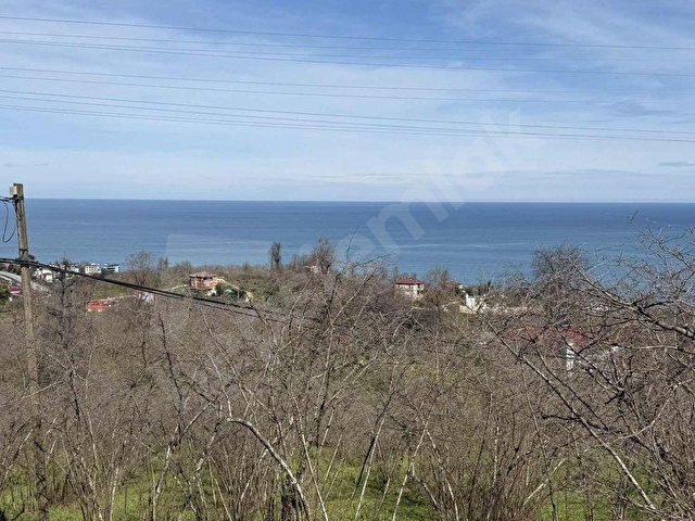 DAĞLI YATIRIMdan KÜÇÜKLÜ DE SATILIK ARSA/BAHÇE - Görsel 6